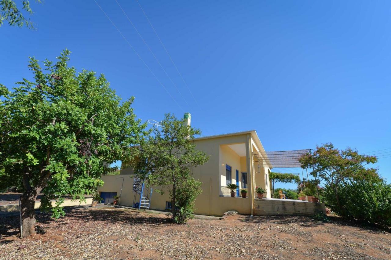 Santa Domenica Summer House Agia Kiriaki  Eksteriør bilde